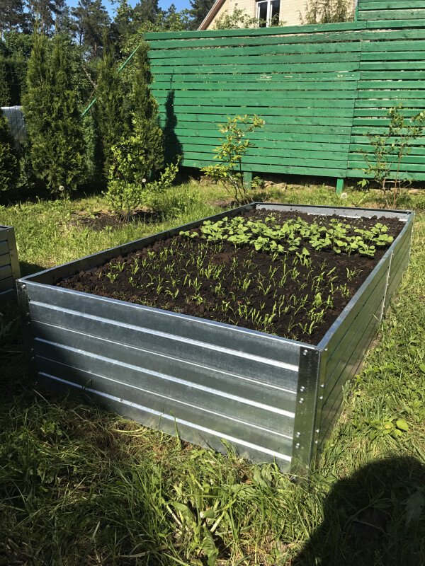 Lit potager surélevé