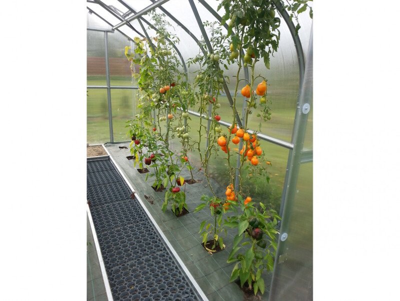 Serre de jardin polycarbonate design – La Bastide